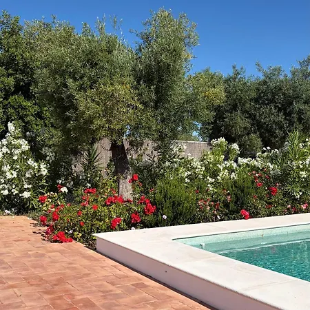 Casa Ciconia - Luxury - Private Pool - Daily Housekeeper *